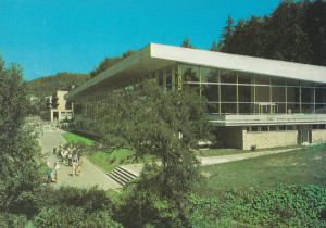 Krynica