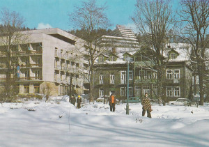 Krynica
