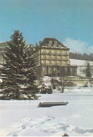 Krynica
