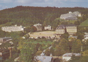 Krynica
