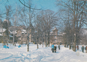 Krynica
