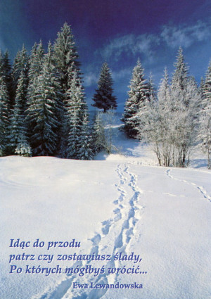 Cytaty - Ewa Lewandowska