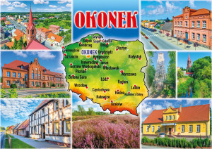 Okonek