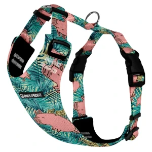Szelki bezuciskowe dla psa PRO-FIT™ Jungle Pig Dog's Profit