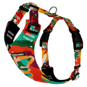 Szelki bezuciskowe dla psa PRO-FIT™ Mexico Dog's Profit