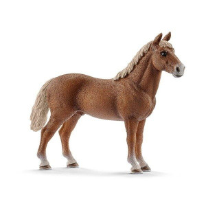 Schleich (SLH13869): Koń Morganowy ogier