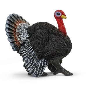 Schleich- Indyk