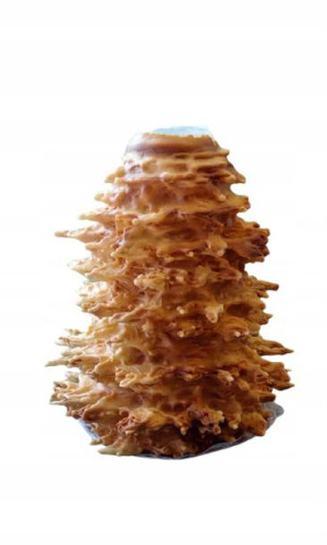 Tradycyjny Podlaski sękacz 2 kg