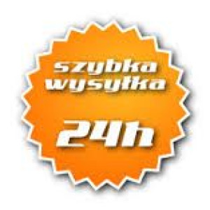 Pompa Zanurzeniowa Do Spuszczania Paliwa 12 V 37mm Geko
