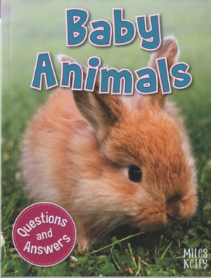 First Questions and Answers - Baby Animals