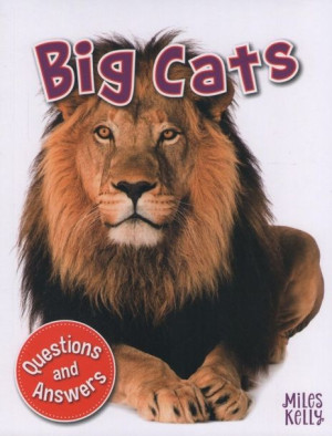 First Questions and Answers - Big Cats