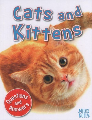 First Questions and Answers - Cats and Kittens