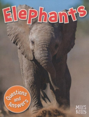 First Questions and Answers - Elephants