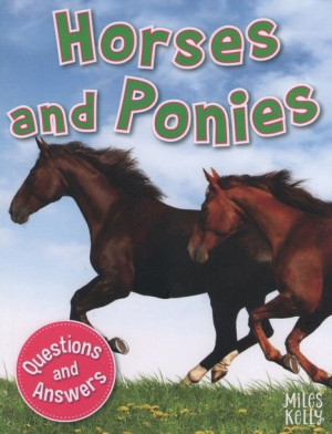 First Questions and Answers - Horses and Ponies