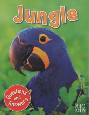 First Questions and Answers - Jungle