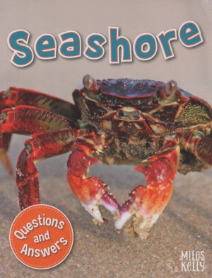 First Questions and Answers - Seashore