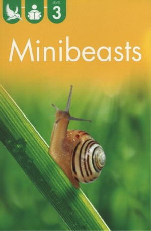 Kingfisher Reader Level 3 - Minibeasts