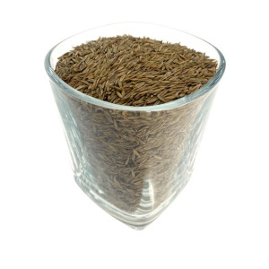 Kostrzewa trzcinowa Kentucky 32 kwalifikat C/1 1kg