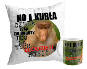 Zestaw z Nosaczem Tera do roboty na złodzieji robić