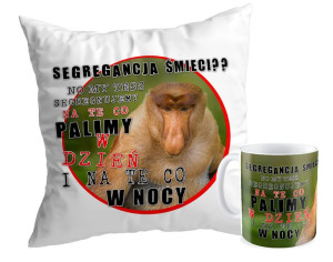 Zestaw z Nosaczem Segregancja śmieci?