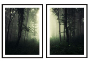 OBRAZ PLAKATY W RAMIE 53x73cm Dyptyk Las P2087
