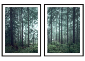 OBRAZ PLAKATY W RAMIE 53x73cm Dyptyk Las P2088
