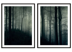 OBRAZ PLAKATY W RAMIE 53x73cm Dyptyk Las P2089