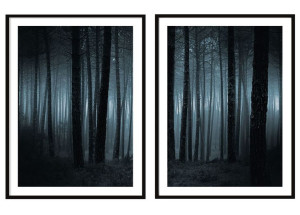 OBRAZ PLAKATY W RAMIE 53x73cm Dyptyk Las P290