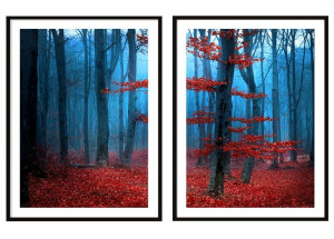 OBRAZ PLAKATY W RAMIE 53x73cm Dyptyk Las P2090