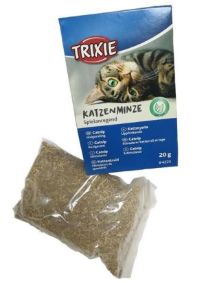 Trixie | Kocimiętka | Kartonik 20g - Kartonik 20g