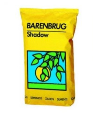 Trawa Barenbrug Shadow&Sun Śmiałek 5KG