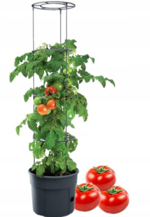Planter Doniczka Donica Do Uprawy Pomidorów Tomato