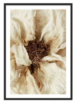 Obraz Plakat W Ramie 53x73 Cm Boho P2114