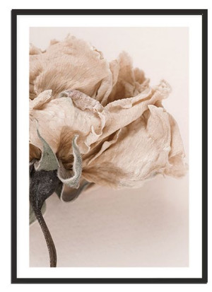 Obraz Plakat W Ramie 53x73 Cm Boho P2115