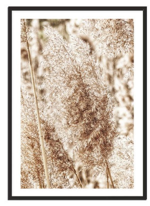 Obraz Plakat W Ramie 53x73 Cm Boho P2119