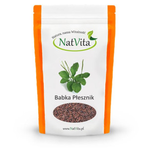 Babka płesznik Psyllium nasiona 400g NatVita