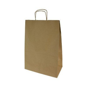 Torba papierowa ekologiczna 305x170x425 10szt