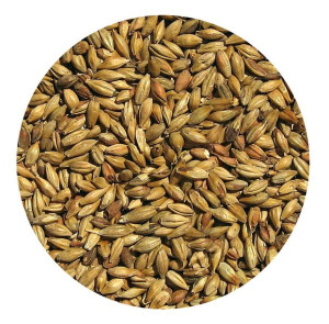 Słód Owsiany Viking Malt 1kg