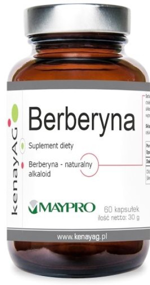Berberyna Berberis Korzeń 250 Mg 60 Kaps Kenay