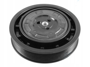 Sprzęgło Klimatyzacji Audi A4 B6 B7 A6 C6 A8 D3 Q7