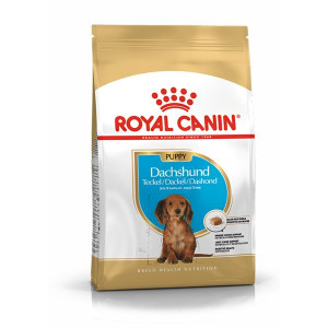 Royal Canin Dachshund Puppy Dla Jamnika 1,5 Kg