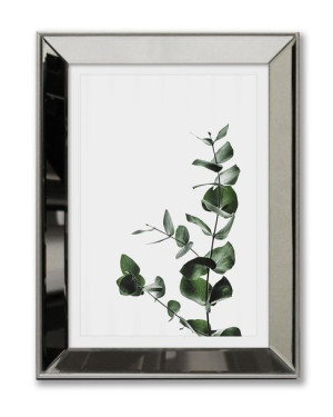 Obraz w lustrzanej ramie Urban Jungle Roślinka 31x41cm