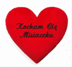 Poduszka serce z haftem  (1) (1) (1) (1) (1) (1) (1) (1)