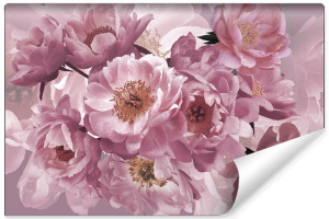 Fototapeta DEKORACYJNA Kwitnące Różowe Peonie Efekt 3D 90cm x 60cm