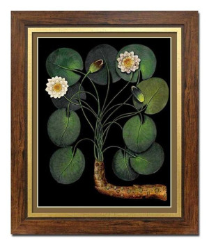 Obraz na płótnie tropikalne liście i kwiaty 52x62cm