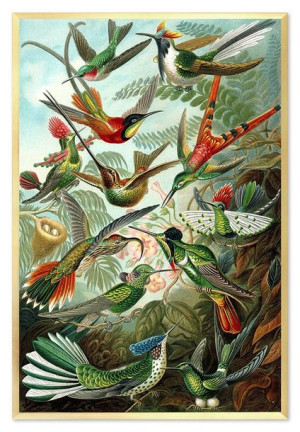 Obraz na płótnie tropikalne liście i kwiaty 63x93cm