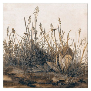Obraz na płótnie dzika trawa 100x100cm