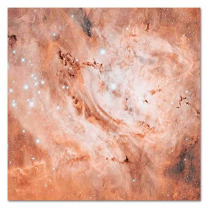 Obraz na płótnie różowy kosmos 80x80cm