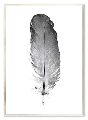 Obraz na płótnie czarne pióro 53x73cm