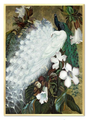 Obraz na płótnie biały paw 53x73cm